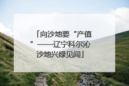 向沙地要“产值”——辽宁科尔沁沙地兴绿见闻